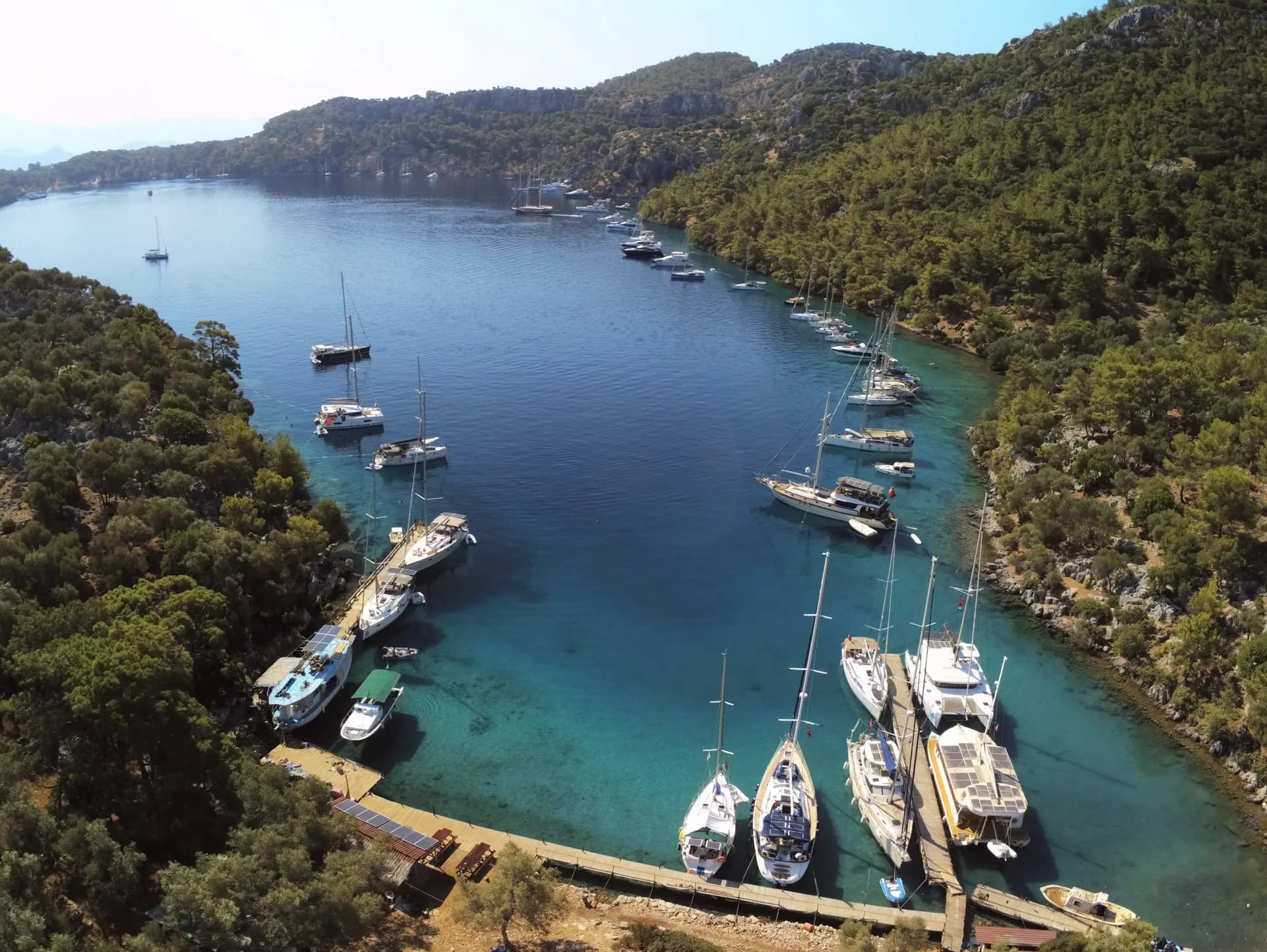 A hidden cove lined with pine trees and moored sailboats